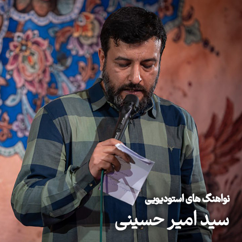 نواهنگ های استودیویی سید امیر حسینی